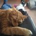 Paul Cortright - Facebook