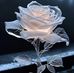 Paul Cosco - Facebook
