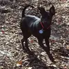 Paul Cosing - @31033804307 - TikTok
