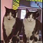 Paul T Coss - @paulcoss3 - Instagram