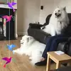 Paul Corner - @paul.corner - TikTok