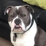 Paul Coughlan - @kt5build - Instagram