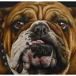 Paul Coughlan - @paul_coughlan_portraits - Instagram