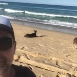 Paul Coutts - @coutts659 - Instagram
