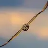 paulcoventry - @paulcoventry - TikTok