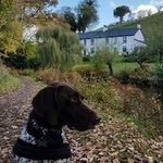 Paul Crabb - @pcrabb85 - Instagram