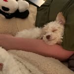 Paul Crabtree - @crabapple589 - Instagram