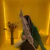 Paul Crabtree - @paulcrabtree7060 - TikTok