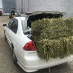 Shane Paul Crabtree - @shanepaulcrabtree - Instagram