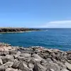 paulinecranmer - @paulinecranmer - TikTok