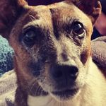 @paulcreech - Instagram