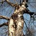 Paul Cribb - Facebook