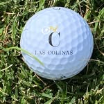 Paul Cripps - @dog4220 - Instagram