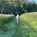 Paul Critchlow Dairy Farm - Facebook