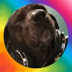 Paul Cronk - @cranky0002 - Instagram