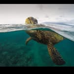 Paul Cronk - @paulcronk - Instagram