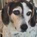 Paul Crouse - Facebook