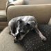 Paul Cudmore - Facebook