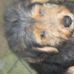 Paul Cuffy - Facebook