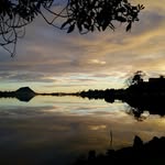 Paul Cuming - @birdo2019 - Instagram