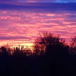 Paul Curley - @paul_c1970 - Instagram