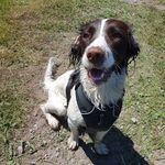 Paul Curry - @paul.curry.90813 - Instagram