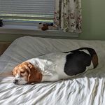 Paul Cushing - @paulcushing - Instagram