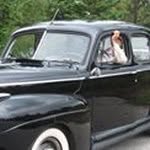 Paul Cushing - @cushingpaul - Instagram