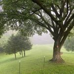 Paul Cutter - @cedar.ridge.farms - Instagram