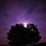 Paul Rim Cutter - @rimcutter0218 - Instagram