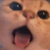 Paul - @paulcypher - TikTok