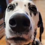Paul Czerniak - @paulkczerniak - Instagram