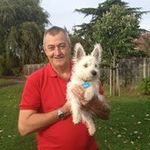 Paul Dacre - @dacrepaul - Instagram
