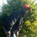 Paul Daka - Facebook