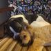 Paul Dahlquist - Facebook