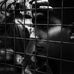 Paul Dahmer - Facebook