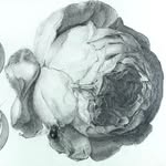 Paul Ainsworth - @pauldainsworth - Instagram
