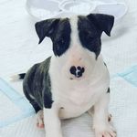 Paul Dakin - @dakin.paul - Instagram