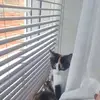 Paul Dakin - @paul.dakin5 - TikTok