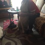 Paul Dakin - @pauldakin36 - Instagram