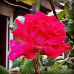 Paul Dalby - @dalbyp1 - Instagram