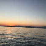 Paul Dalpez - @paul008_ - Instagram