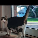 Paul Dänekas - @pauldanekas - Instagram
