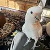 Paul Daneker695 - @pauldaneker0 - TikTok