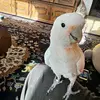 Paul Daneker695 - @pauldaneker0 - TikTok