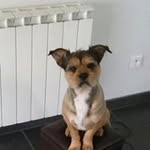 Paul Danger - @paul.dgr - Instagram
