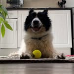 Paul Danger Pollard - @paul_danger_pollard - Instagram