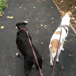 Dango Paul - @paul_dango - Instagram