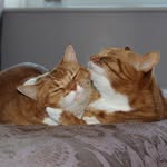 Paul Danielson - @danielson_paul - Instagram
