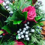 Paul Dao - @pauldao66 - Instagram